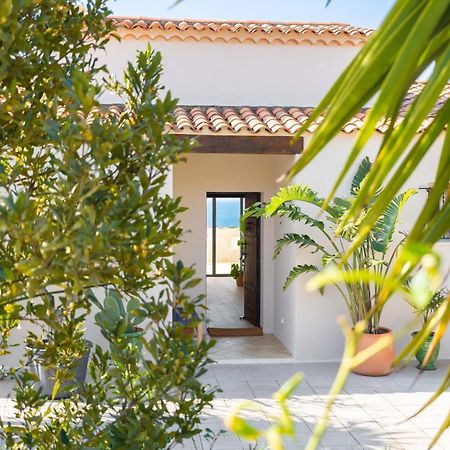 Les Cactus Bleus Bed and Breakfast Sausset-les-Pins Εξωτερικό φωτογραφία