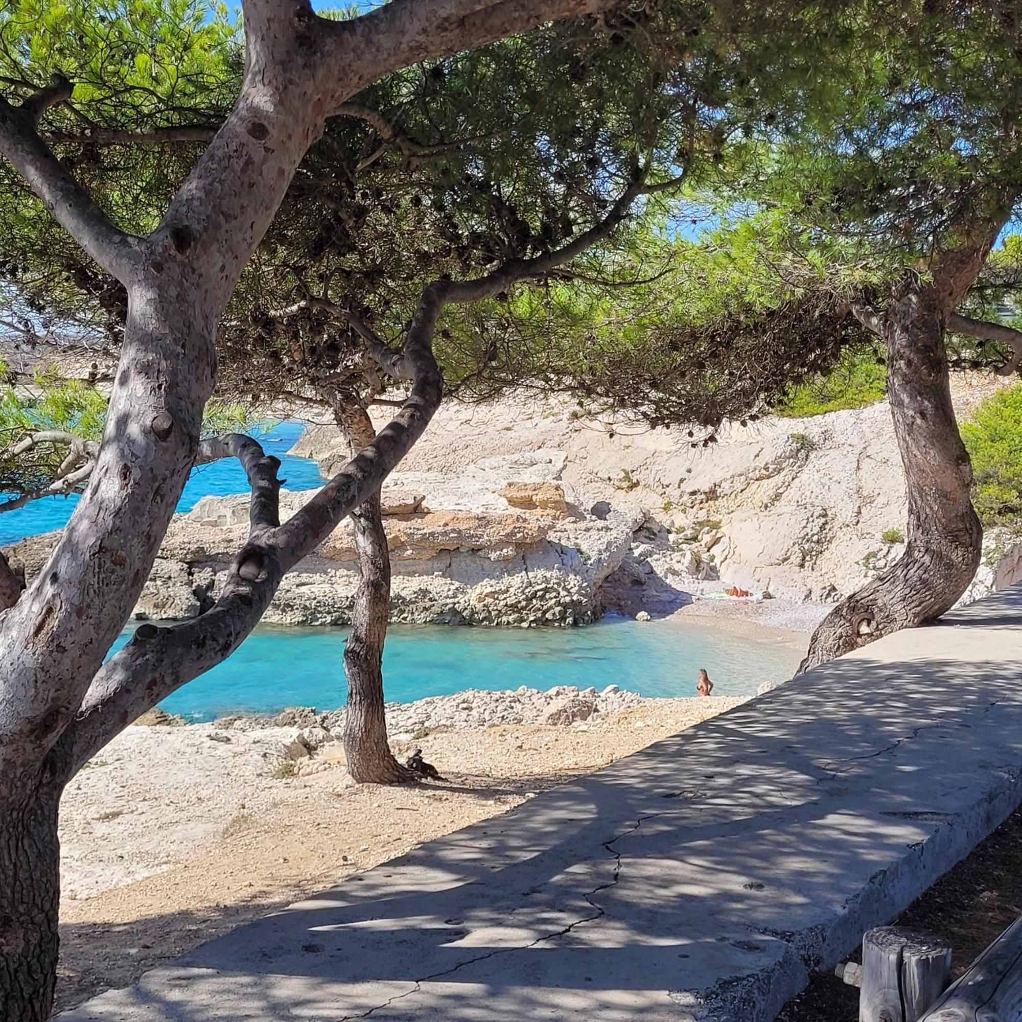 Les Cactus Bleus Bed and Breakfast Sausset-les-Pins Εξωτερικό φωτογραφία